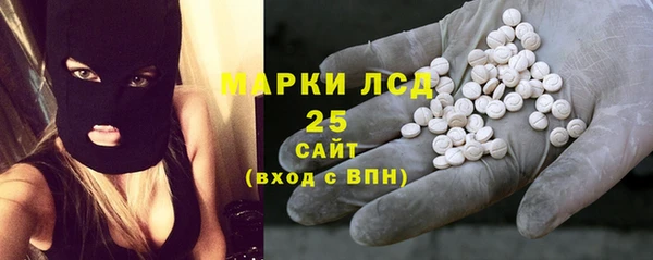 прущие грибы Покачи