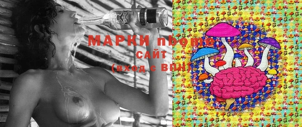 гидра Покровск