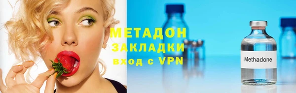 прущие грибы Покачи