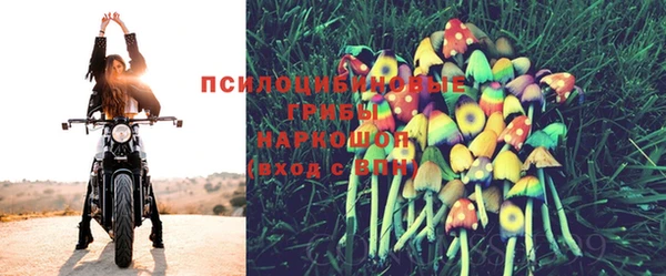прущие грибы Покачи