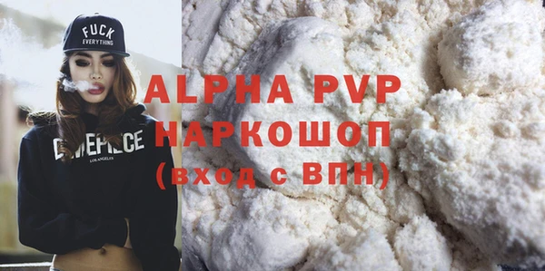 прущие грибы Покачи