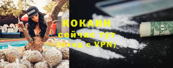 прущие грибы Покачи