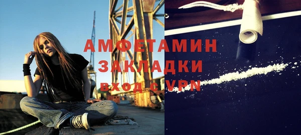 прущие грибы Покачи