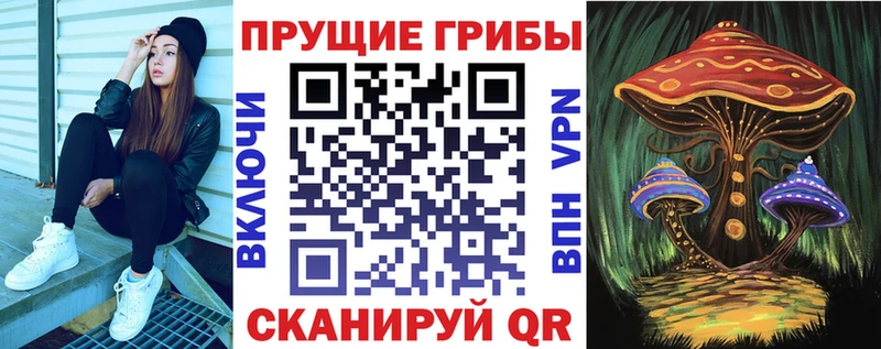 Галлюциногенные грибы прущие грибы  купить наркотик  Сальск 