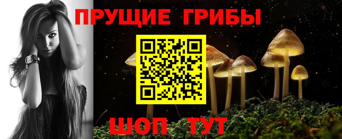 Сальск  Галлюциногенные грибы мицелий  Вход с VPN 